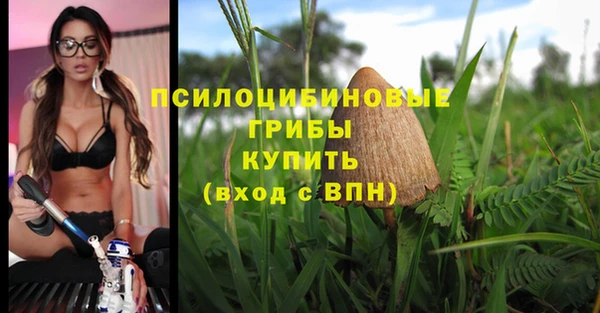 гашиш Кулебаки
