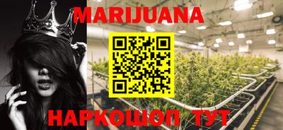 сатива Ирбит