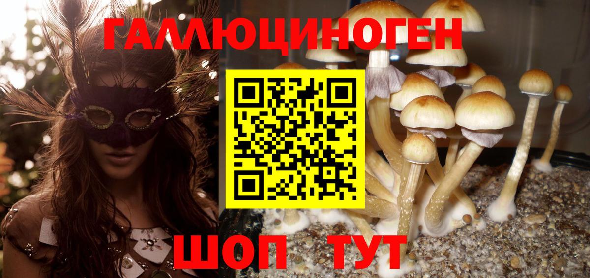 Феодосия  хочу   Вход с VPN  Галлюциногенные грибы Psilocybe 