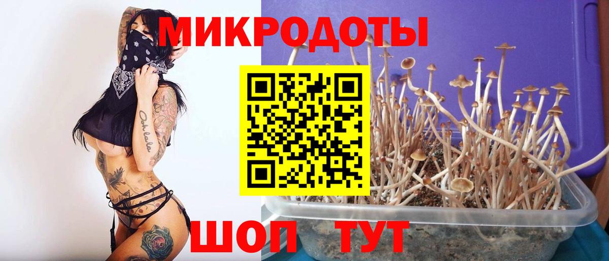 Галлюциногенные грибы Psilocybe Феодосия